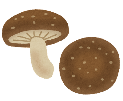 kinoko_shiitake.png