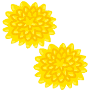 food_syokuyou_kiku.png